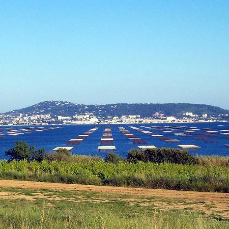 Apartament Port Mezua Mèze Zewnętrze zdjęcie