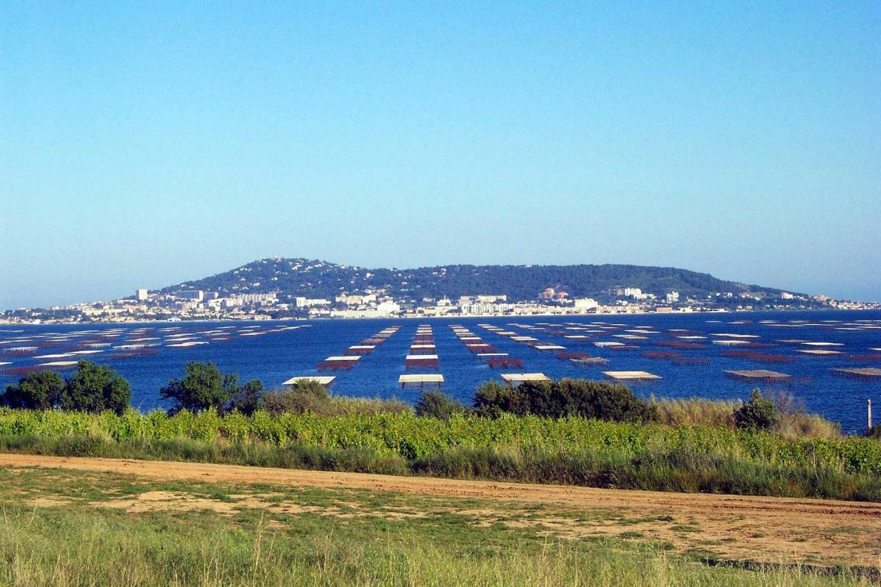 Apartament Port Mezua Mèze Zewnętrze zdjęcie